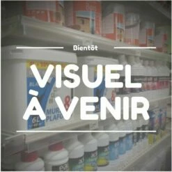 PRODIF Compresseur Silencieux 66db40 L Vertical 2hp 230v 8 Bar